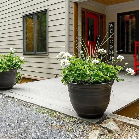 Bluebird Mountain Home Mount Torry Furnace Ngoại thất bức ảnh