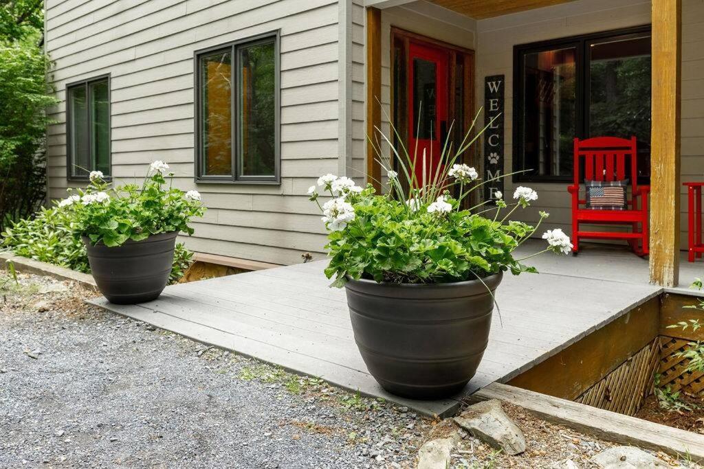 Bluebird Mountain Home Mount Torry Furnace Ngoại thất bức ảnh